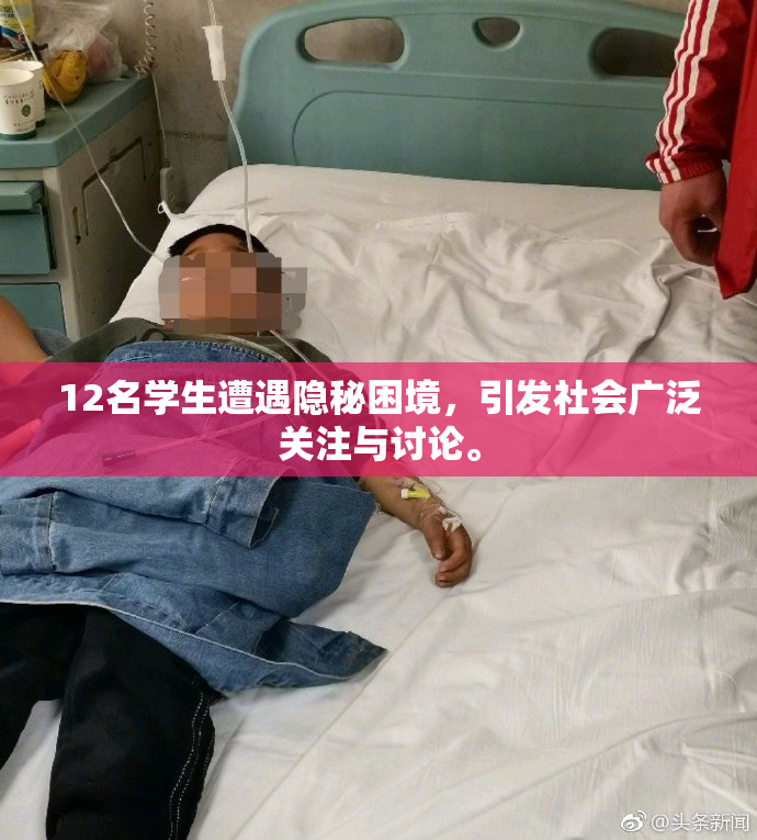 12名学生遭遇隐秘困境，引发社会广泛关注与讨论。