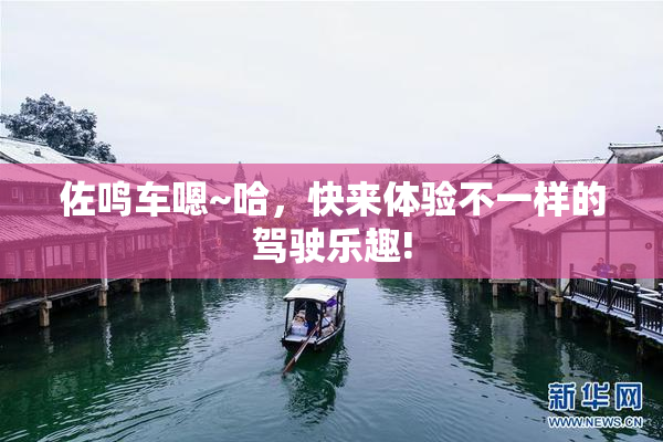 佐鸣车嗯~哈，快来体验不一样的驾驶乐趣!