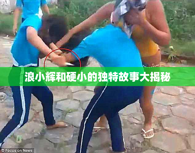 浪小辉和硬小的独特故事大揭秘