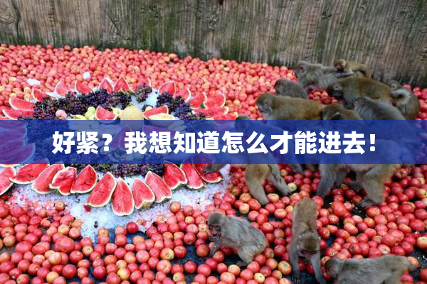 好紧？我想知道怎么才能进去！
