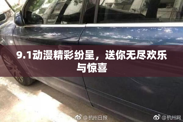 9.1动漫精彩纷呈，送你无尽欢乐与惊喜