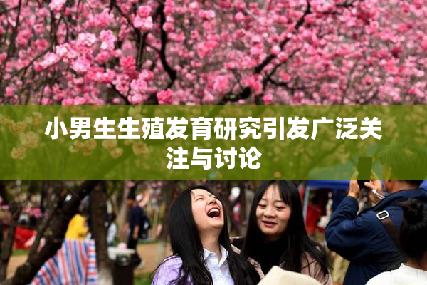 小男生生殖发育研究引发广泛关注与讨论