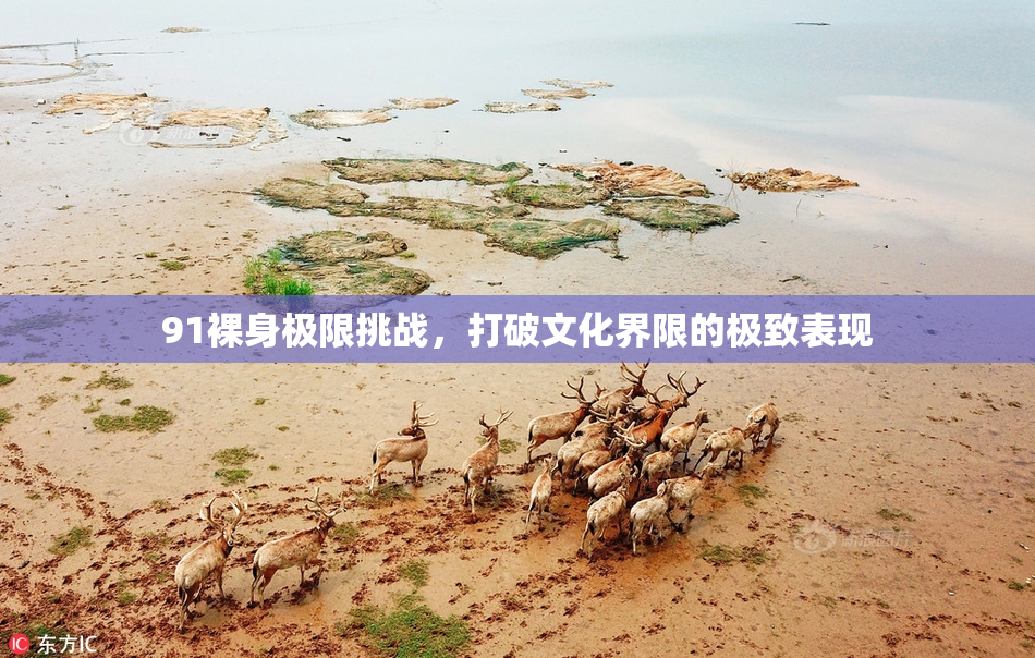 91裸身极限挑战，打破文化界限的极致表现