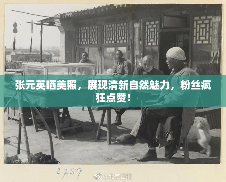张元英晒美照，展现清新自然魅力，粉丝疯狂点赞！