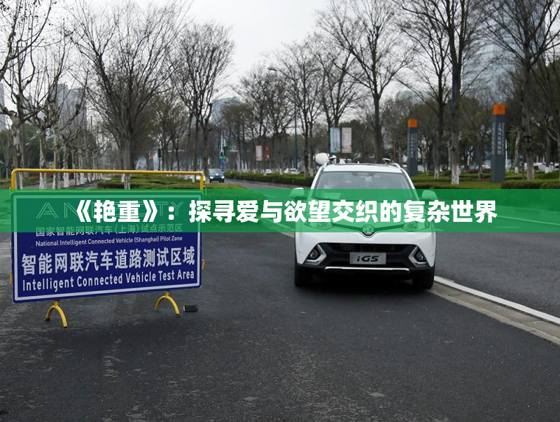 《艳重》：探寻爱与欲望交织的复杂世界