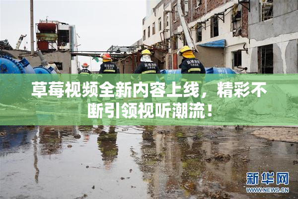 草莓视频全新内容上线，精彩不断引领视听潮流！