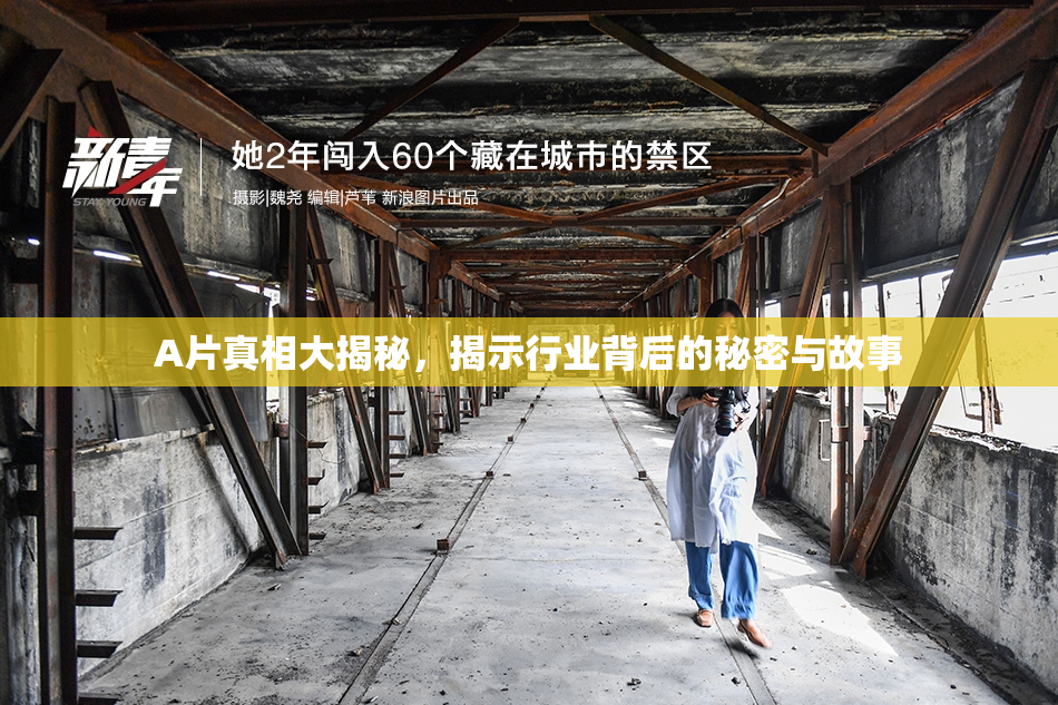 A片真相大揭秘，揭示行业背后的秘密与故事