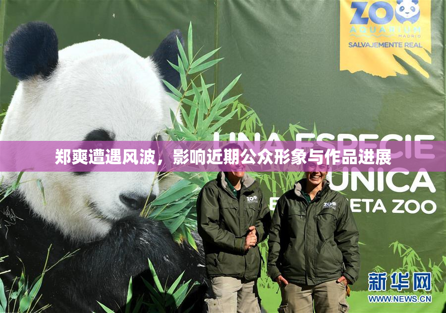 郑爽遭遇风波，影响近期公众形象与作品进展