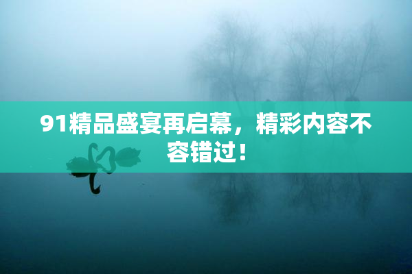 91精品盛宴再启幕，精彩内容不容错过！