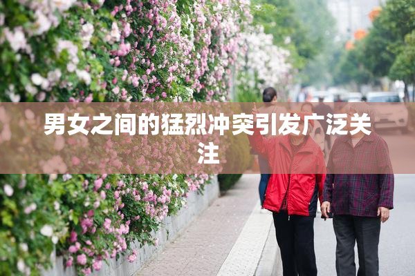 男女之间的猛烈冲突引发广泛关注