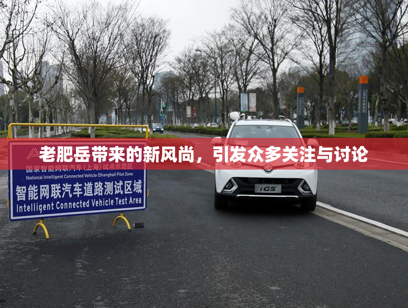 老肥岳带来的新风尚，引发众多关注与讨论