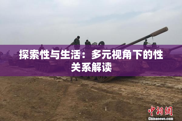 探索性与生活：多元视角下的性关系解读