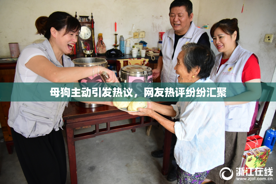 母狗主动引发热议，网友热评纷纷汇聚