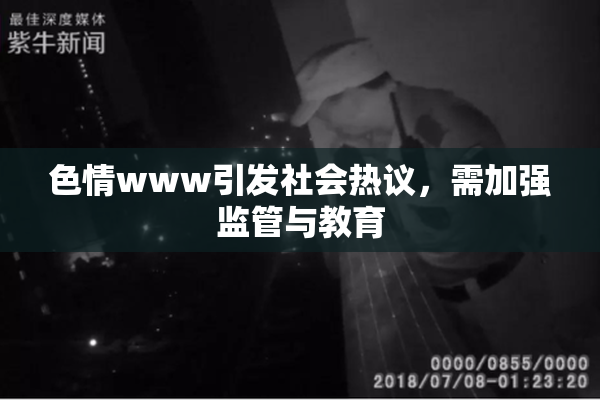 色情www引发社会热议，需加强监管与教育