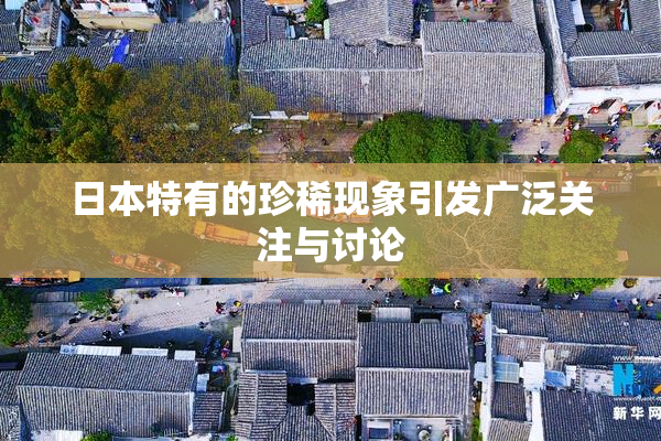 日本特有的珍稀现象引发广泛关注与讨论