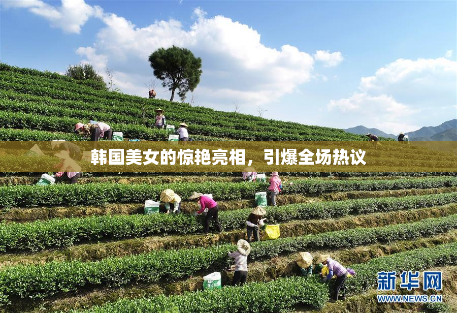 韩国美女的惊艳亮相，引爆全场热议