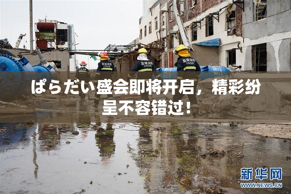 ぱらだい盛会即将开启，精彩纷呈不容错过！