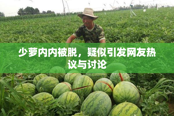 少萝内内被脱，疑似引发网友热议与讨论