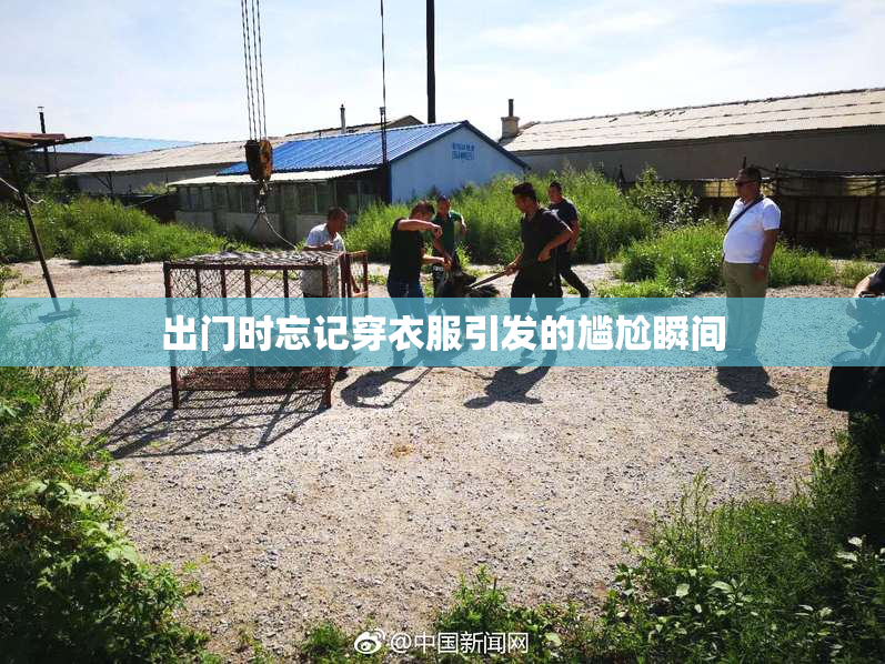 出门时忘记穿衣服引发的尴尬瞬间