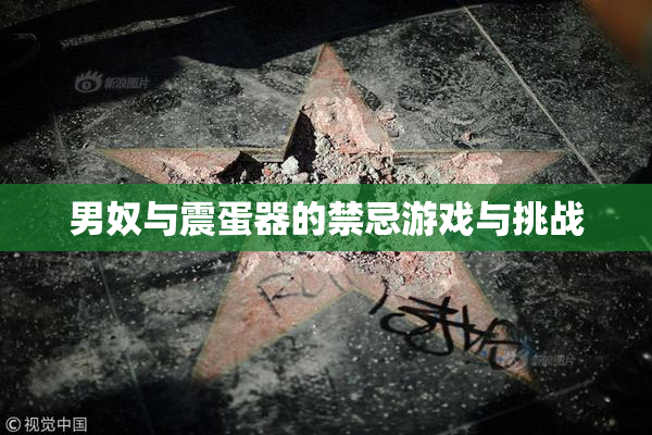 男奴与震蛋器的禁忌游戏与挑战