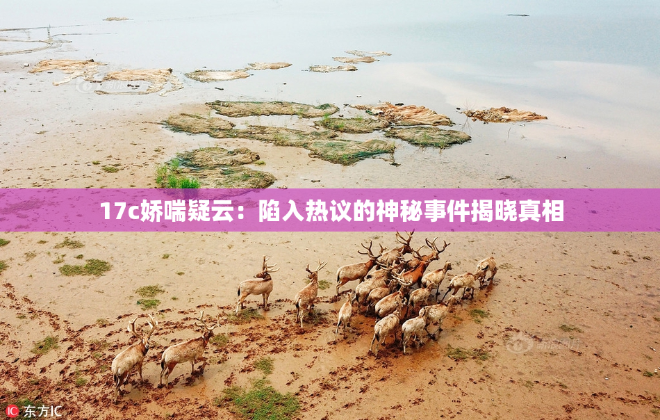 17c娇喘疑云：陷入热议的神秘事件揭晓真相