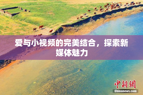 爱与小视频的完美结合，探索新媒体魅力