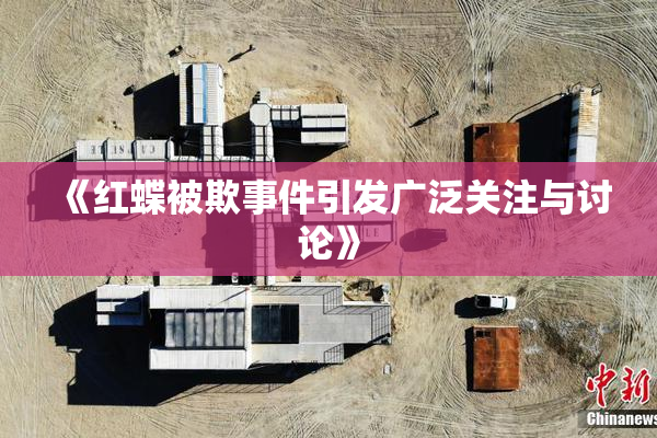 《红蝶被欺事件引发广泛关注与讨论》