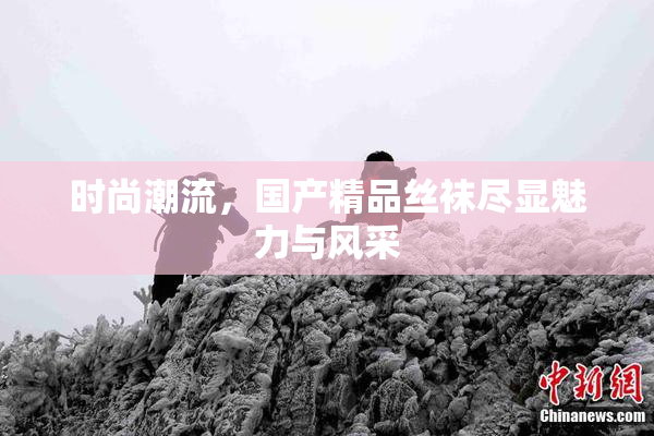 时尚潮流，国产精品丝袜尽显魅力与风采