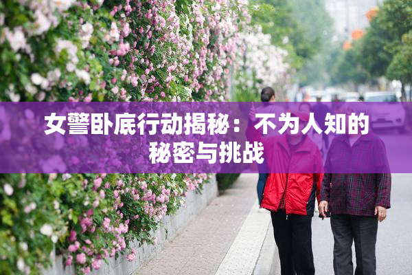 女警卧底行动揭秘：不为人知的秘密与挑战