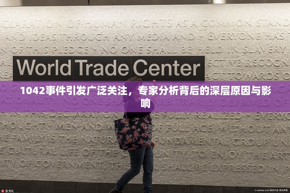 1042事件引发广泛关注，专家分析背后的深层原因与影响