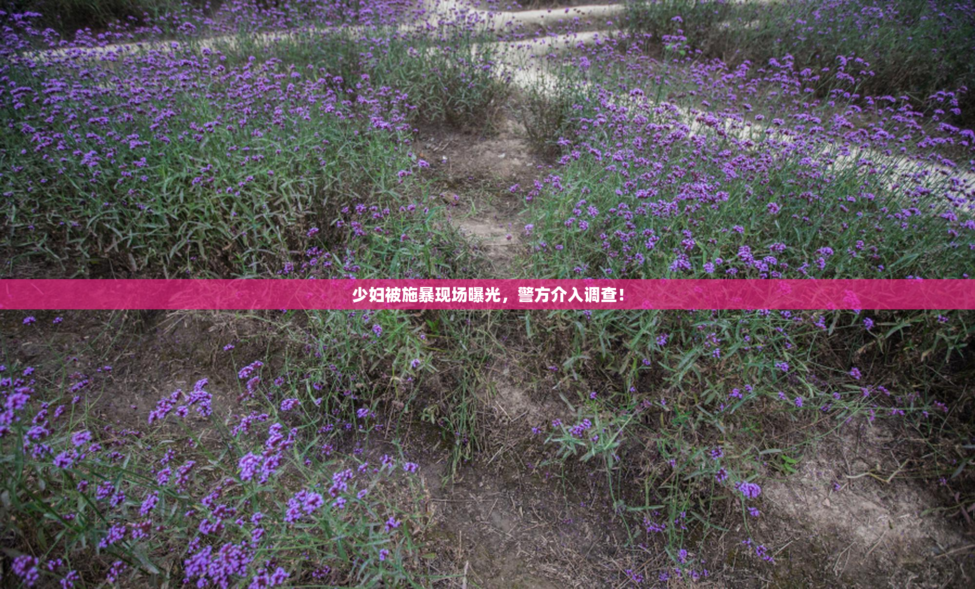 少妇被施暴现场曝光，警方介入调查！