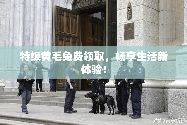 特级黄毛免费领取，畅享生活新体验！