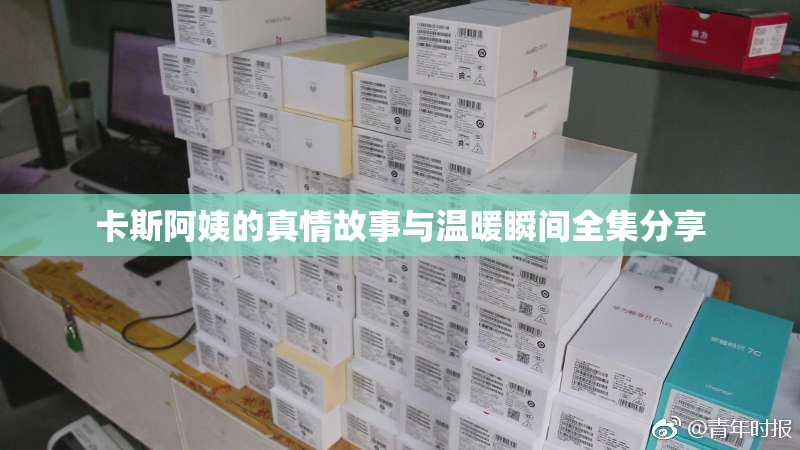 卡斯阿姨的真情故事与温暖瞬间全集分享