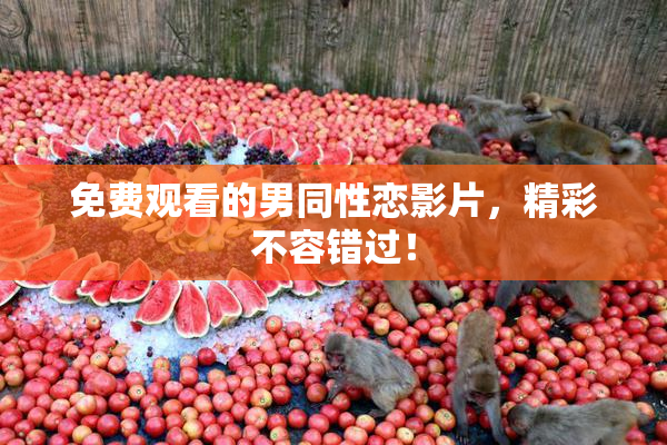 免费观看的男同性恋影片，精彩不容错过！