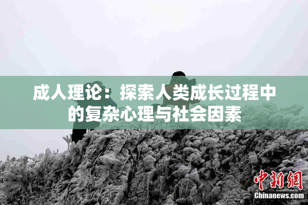 成人理论：探索人类成长过程中的复杂心理与社会因素