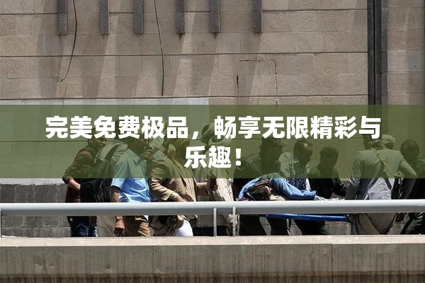 完美免费极品，畅享无限精彩与乐趣！