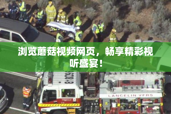 浏览蘑菇视频网页，畅享精彩视听盛宴！