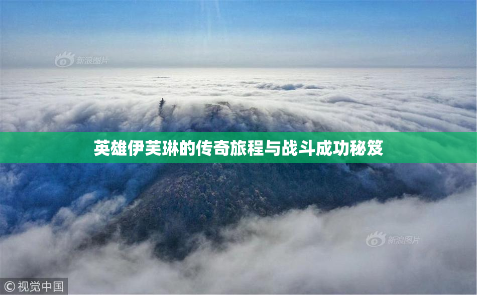英雄伊芙琳的传奇旅程与战斗成功秘笈