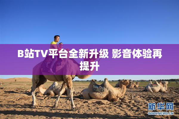 B站TV平台全新升级 影音体验再提升