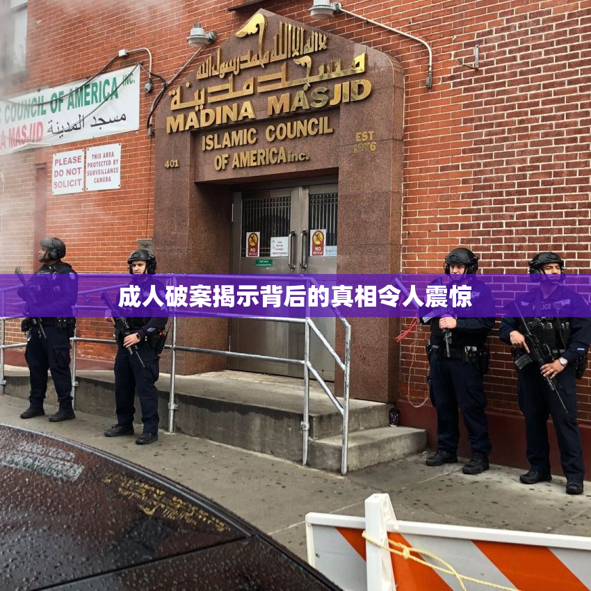 成人破案揭示背后的真相令人震惊