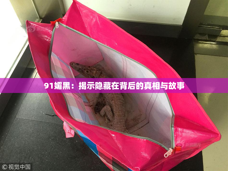 91媚黑：揭示隐藏在背后的真相与故事