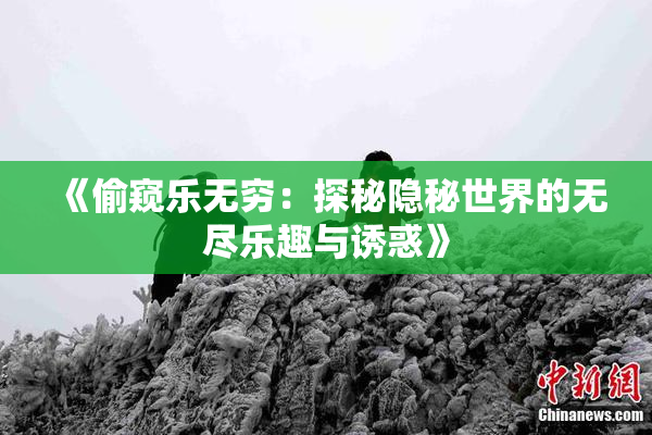 《偷窥乐无穷：探秘隐秘世界的无尽乐趣与诱惑》