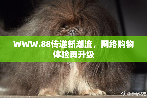 WWW.88传递新潮流，网络购物体验再升级