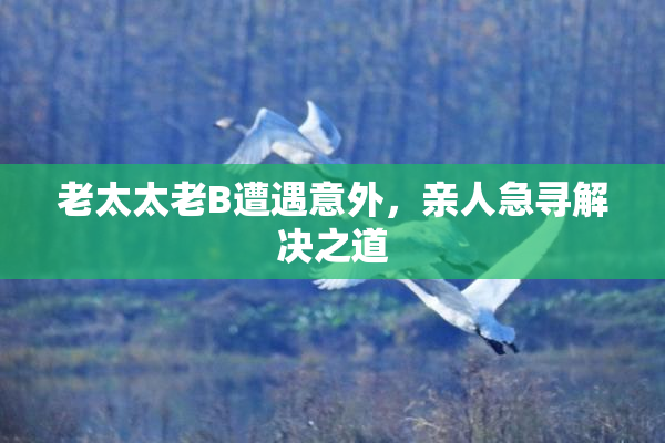 老太太老B遭遇意外，亲人急寻解决之道
