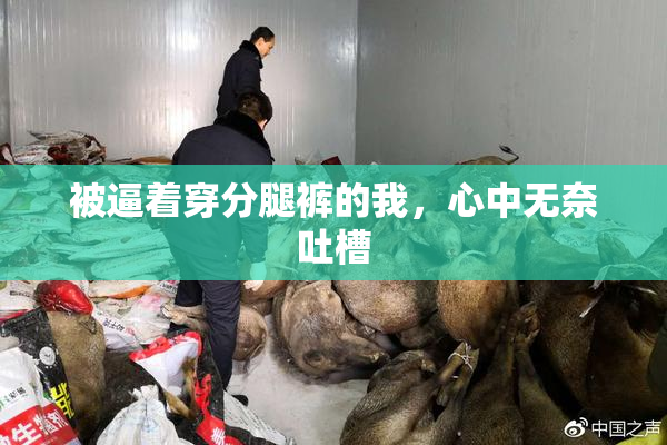 被逼着穿分腿裤的我，心中无奈吐槽