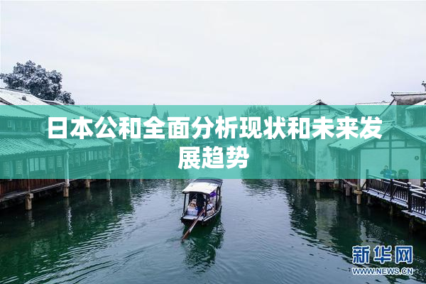 日本公和全面分析现状和未来发展趋势
