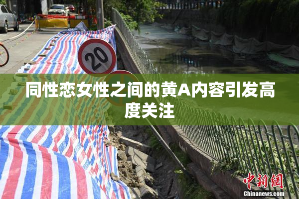 同性恋女性之间的黄A内容引发高度关注