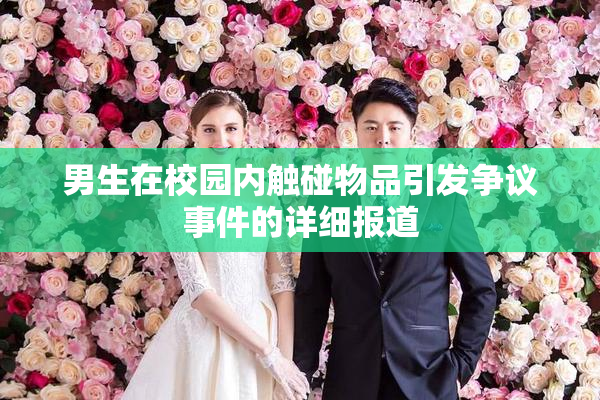 男生在校园内触碰物品引发争议事件的详细报道