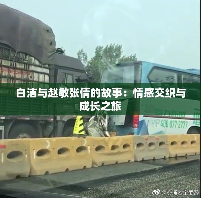 白洁与赵敏张倩的故事：情感交织与成长之旅