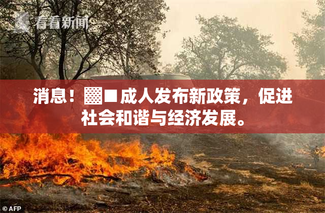 消息！▓■成人发布新政策，促进社会和谐与经济发展。